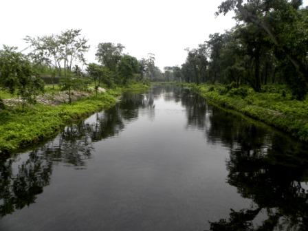 DSCN1737.jpg