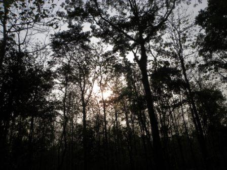 DSCN1838.jpg