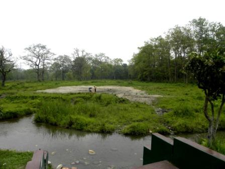 DSCN1761.jpg