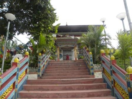 DSCN1805.jpg