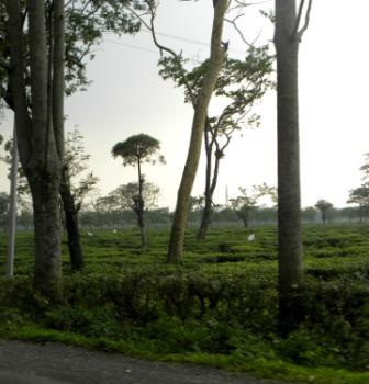 DSCN1818.jpg