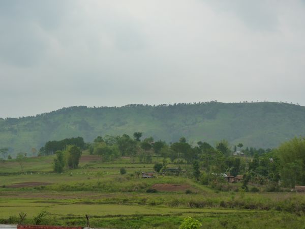 P1010254-1.jpg