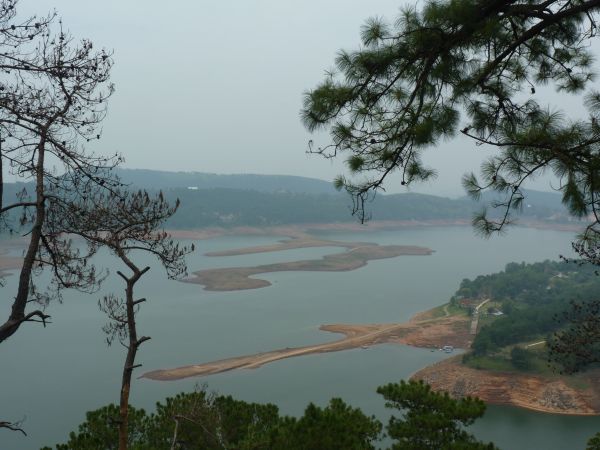 P1010846-1.jpg