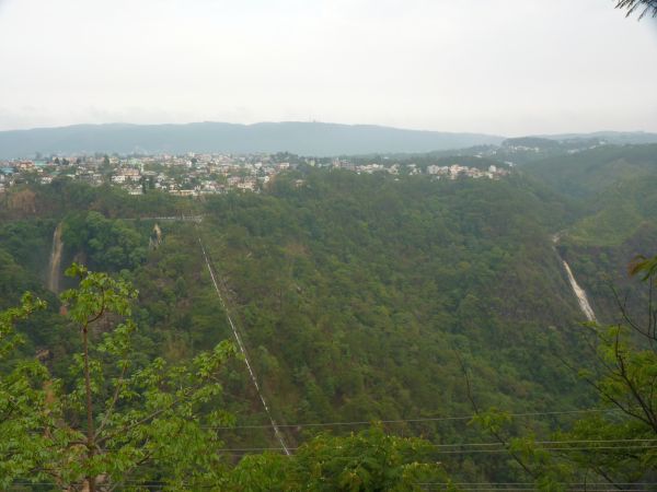 P1010271-1.jpg