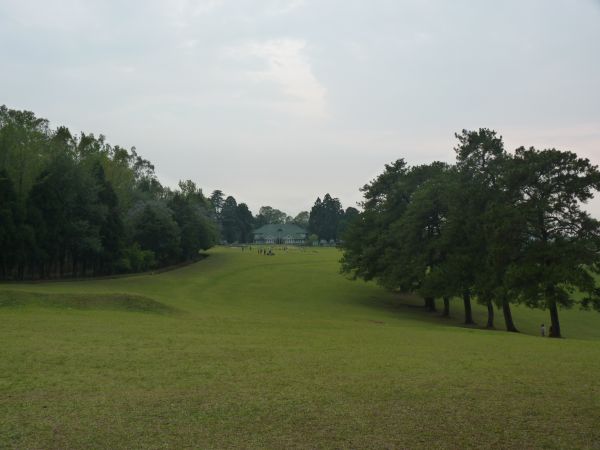 P1010289-1.jpg