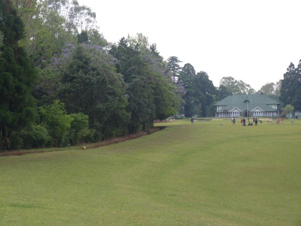 P1010300-1.jpg