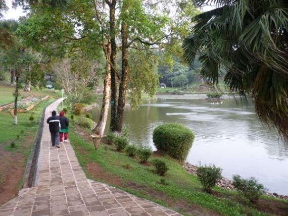 P1010311-2.jpg