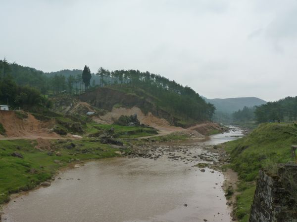 P1010360-1.jpg