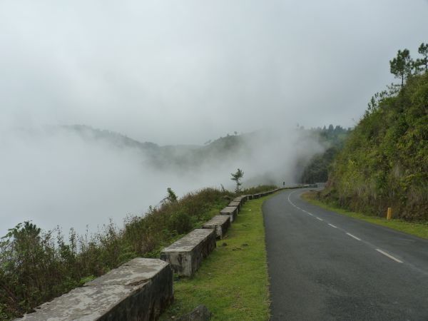 P1010366-1.jpg