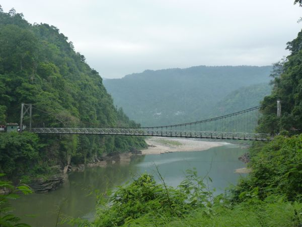 P1010386-1.jpg