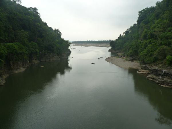 P1010387-1.jpg