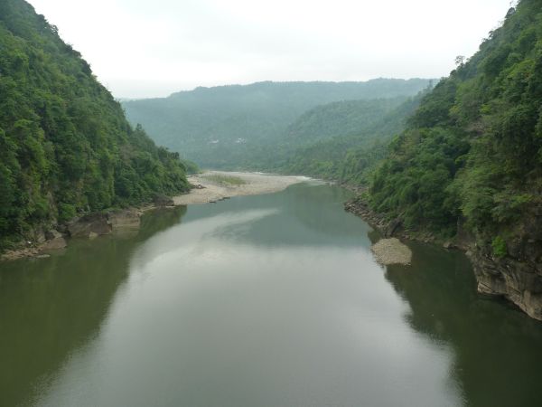 P1010388-1.jpg