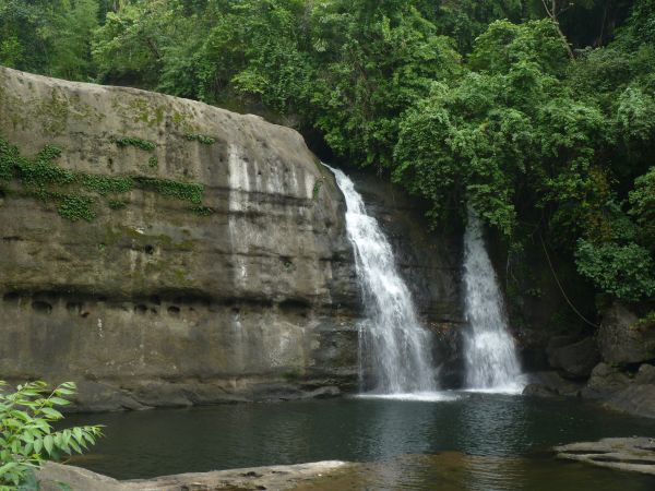 P1010391-1.jpg