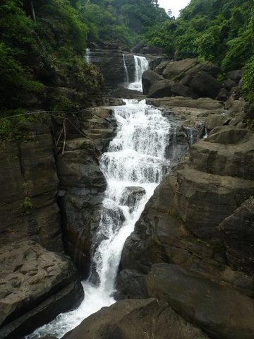 P1010396-1.jpg