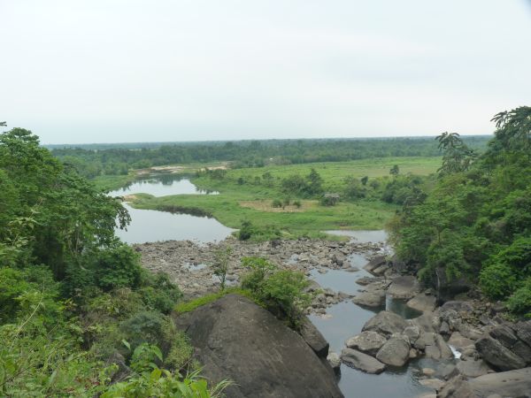 P1010398-1.jpg