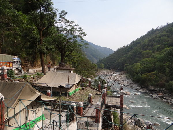 negiji's camp.jpg