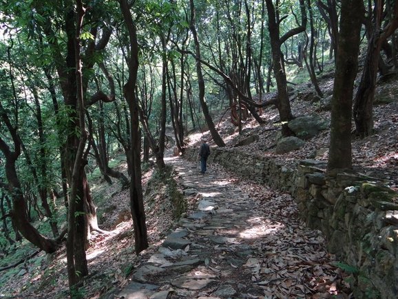 DSC08940-002.jpg