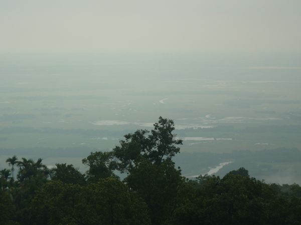 P1010464-1.jpg