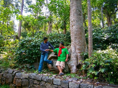 yercaud walk.jpg