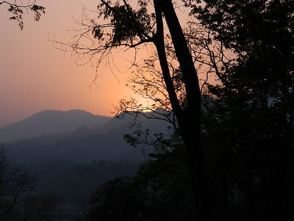 DSCN1989.jpg