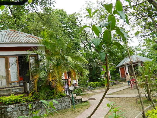 DSCN2132.jpg