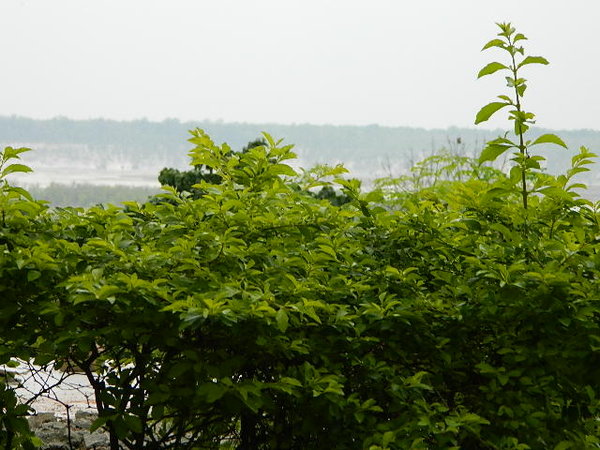 DSCN2142.jpg