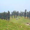 meadow a.jpg