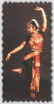 chennai-in-december-valli5.jpg