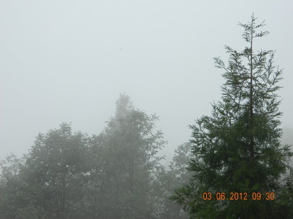 DSCN0918.jpg