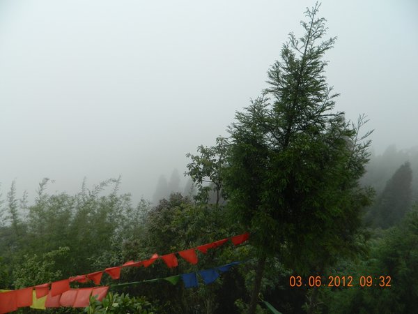 DSCN0921.jpg