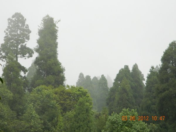 DSCN0930.jpg