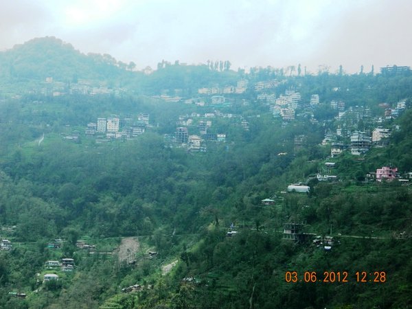 DSCN0969.jpg