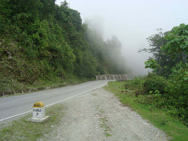 DSC01380.jpg