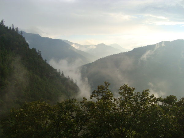 DSC01408.jpg