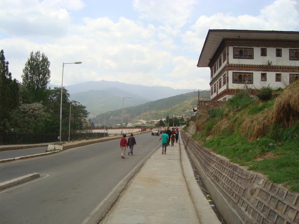 DSC01443.jpg