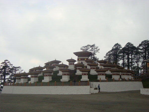 DSC01474.jpg