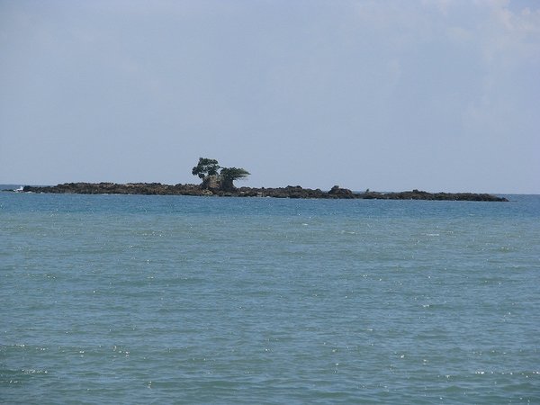 IMG_0628.jpg
