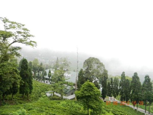 DSCN1249.jpg