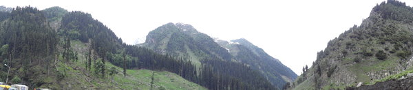 DSC00454.jpg