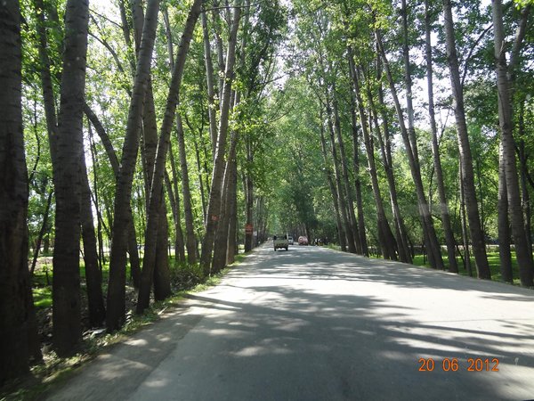SRINAGAR ROAD.jpg