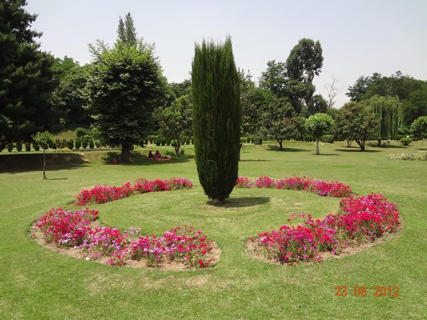 CHASHAMSHAHI-3.jpg