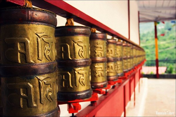 for IMprayer wheels main.jpg