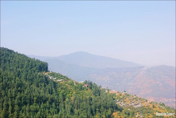 kotgarh1.jpg