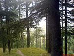 back-from-high-back-country-roads-of-himachal-and-spectacular-passes-jana2.jpg