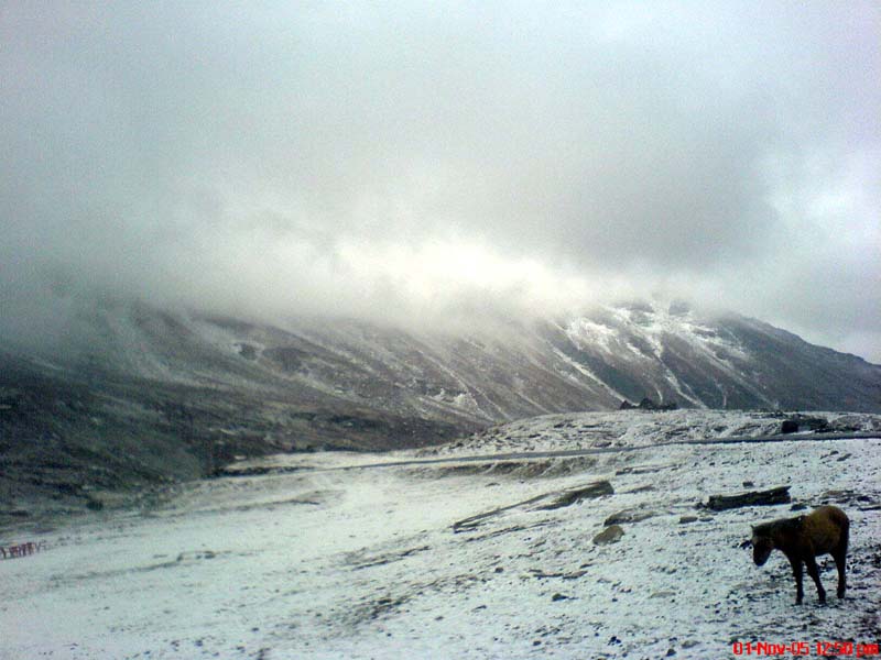 Rohtang29.JPG