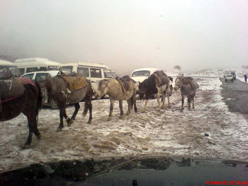 Rohtang30.JPG