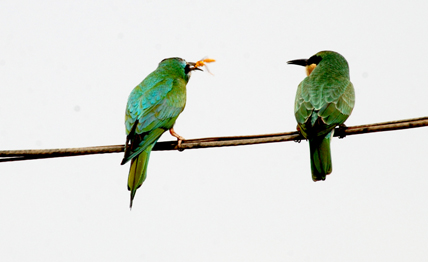 DSC_0058.JPG