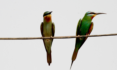DSC_0098.JPG