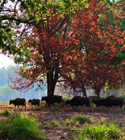 Name:  472000_2113006961457_1108786811_o.jpg
Views: 218
Size:  99.2 KB