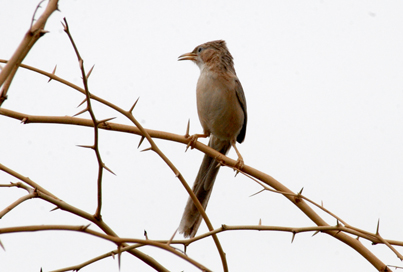 DSC_2473.JPG